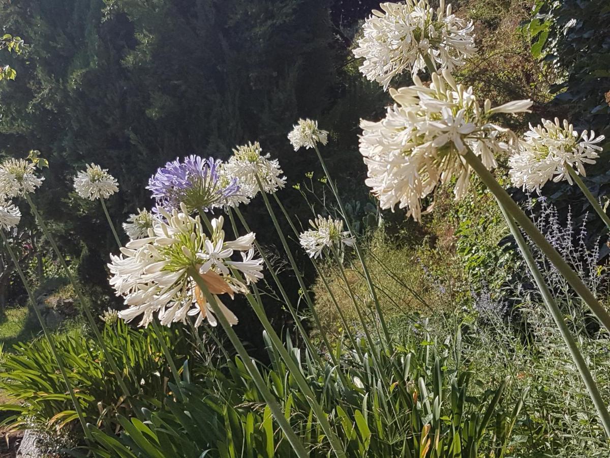 La Villa Guidi Pila-Canale 외부 사진