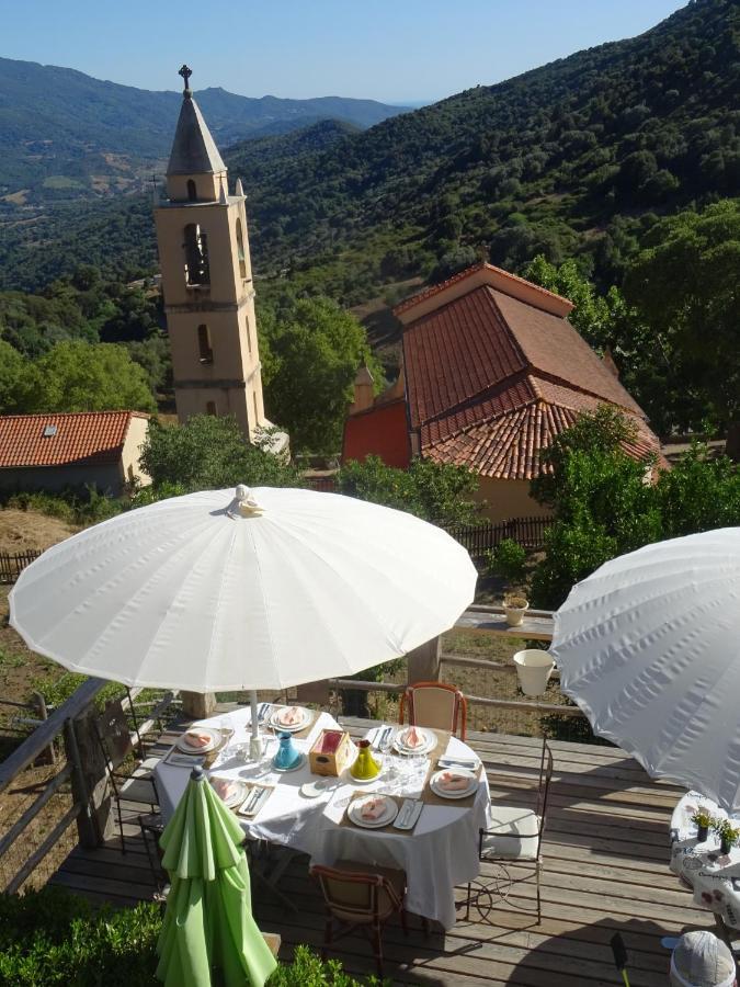 La Villa Guidi Pila-Canale 외부 사진