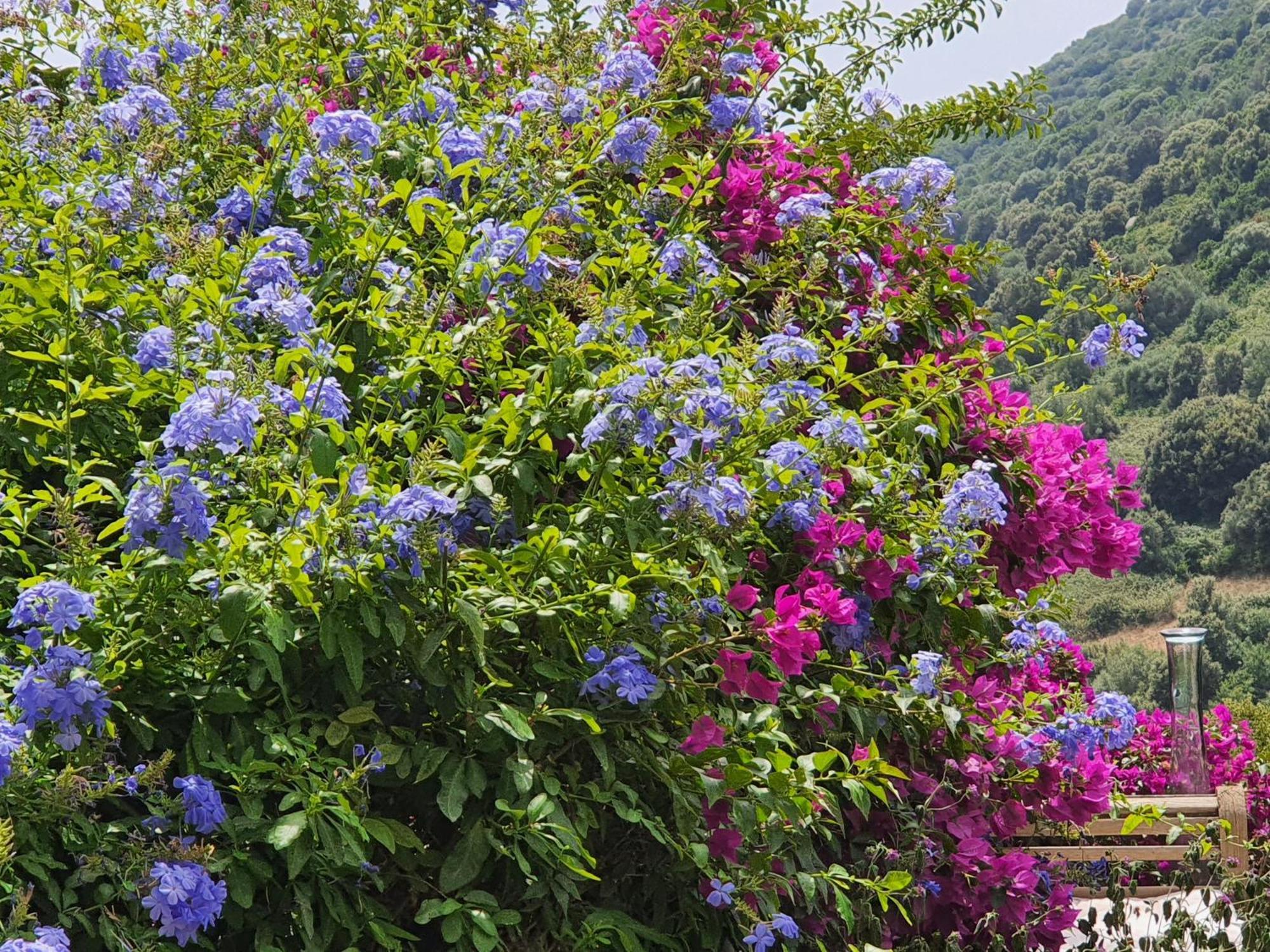 La Villa Guidi Pila-Canale 외부 사진
